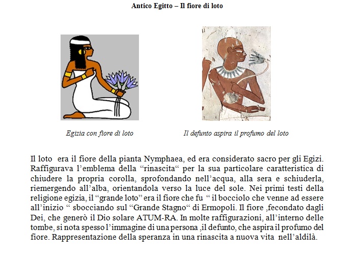 image22