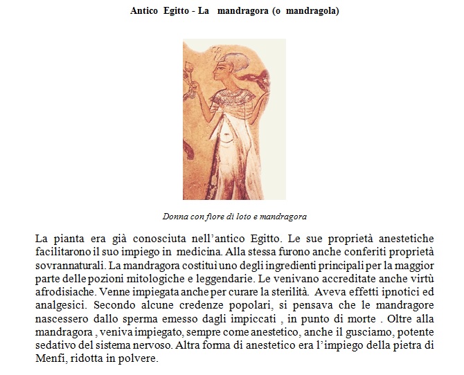 image23
